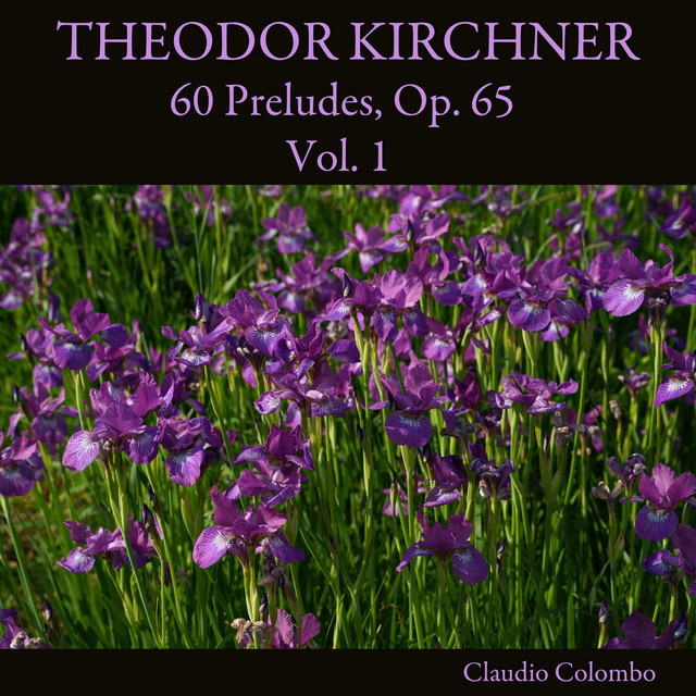 Theodor Kirchner: 60 Preludes, Op. 65, Vol. 1 cover art