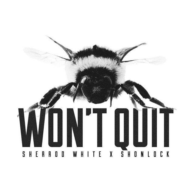 Won't Quit (feat. Shonlock)