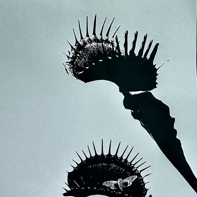 Flytrap cover art