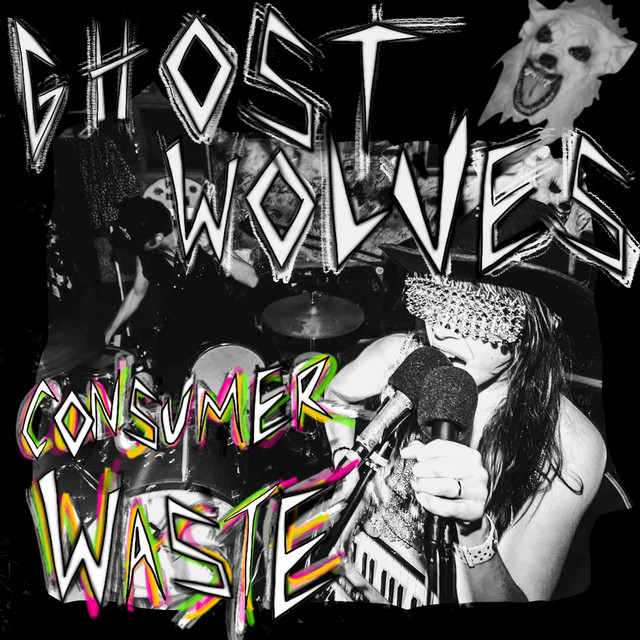 Consumer Waste cover art