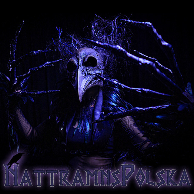 Nattramnspolska cover