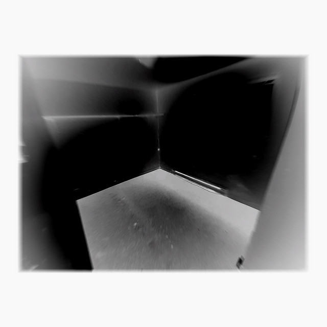 Datura (Instrumental Version) cover art