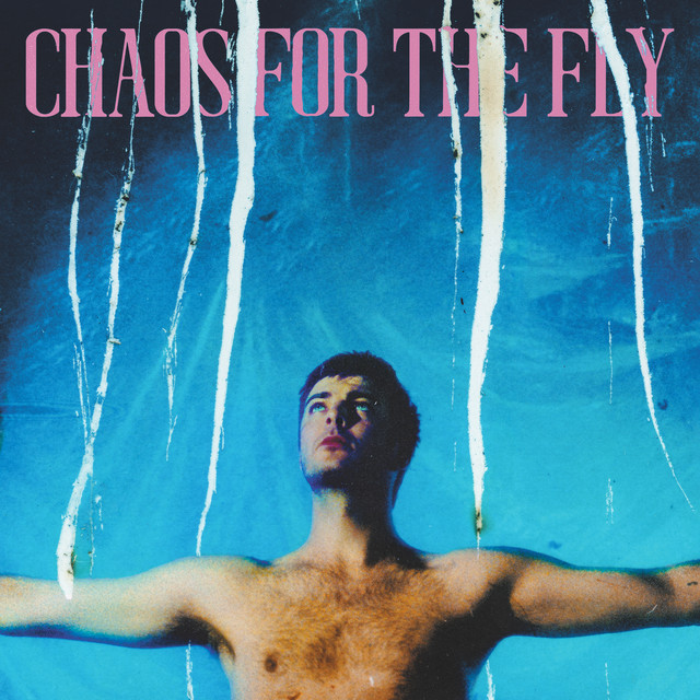 Chaos for the Fly cover art