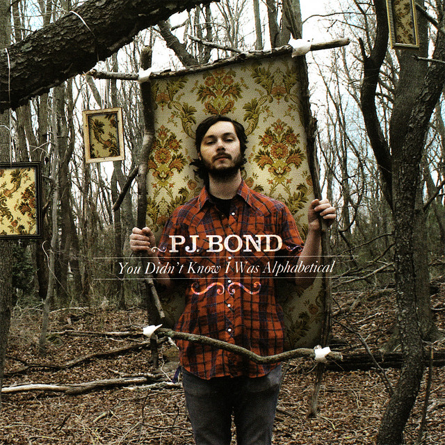 You Didn't Know I Was Alphabetical cover art