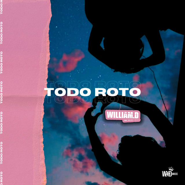 Todo Roto cover art