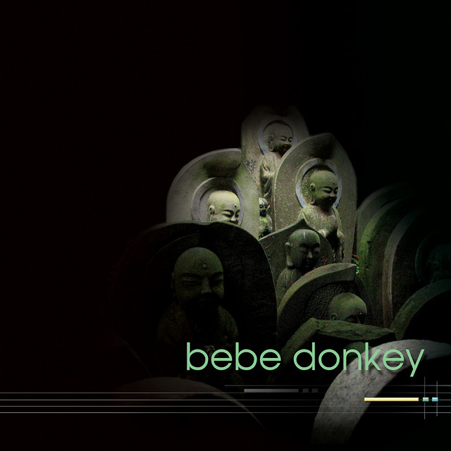Bebe Donkey