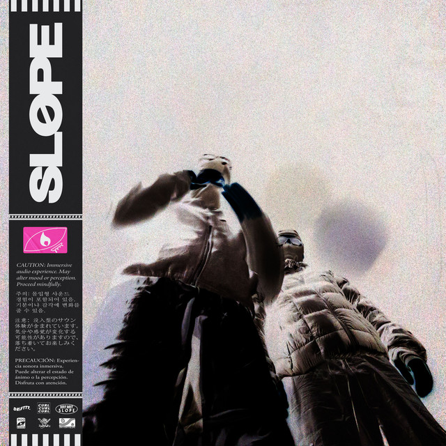 Snow Punk Punk cover art