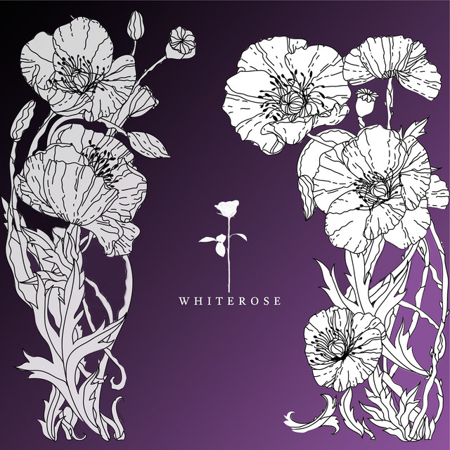 Darkness album art