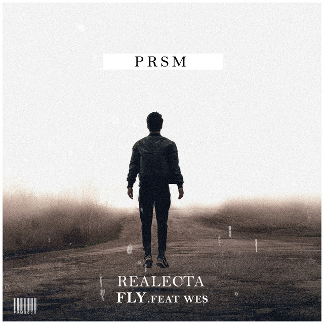 Fly cover art