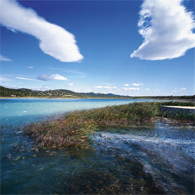 Rdmusic, vol. 1 cover art