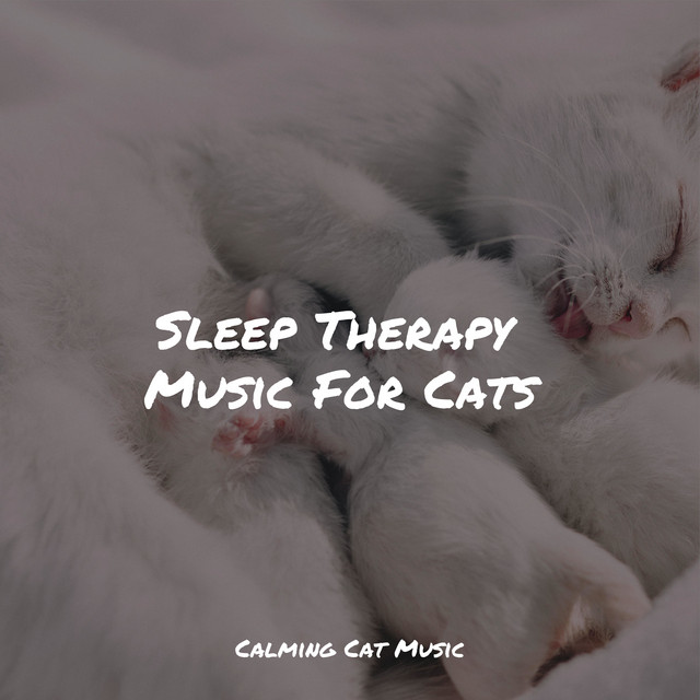 Sleep Therapy Music For Cats - Album by Calm Music for Cats | Spotify