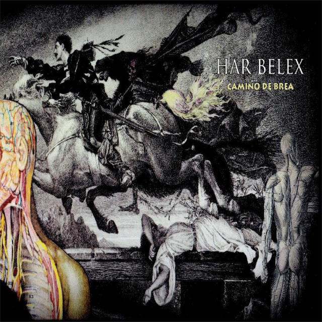 Camino de Brea cover