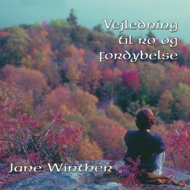 Vejledning til Ro og Fordybelse cover art
