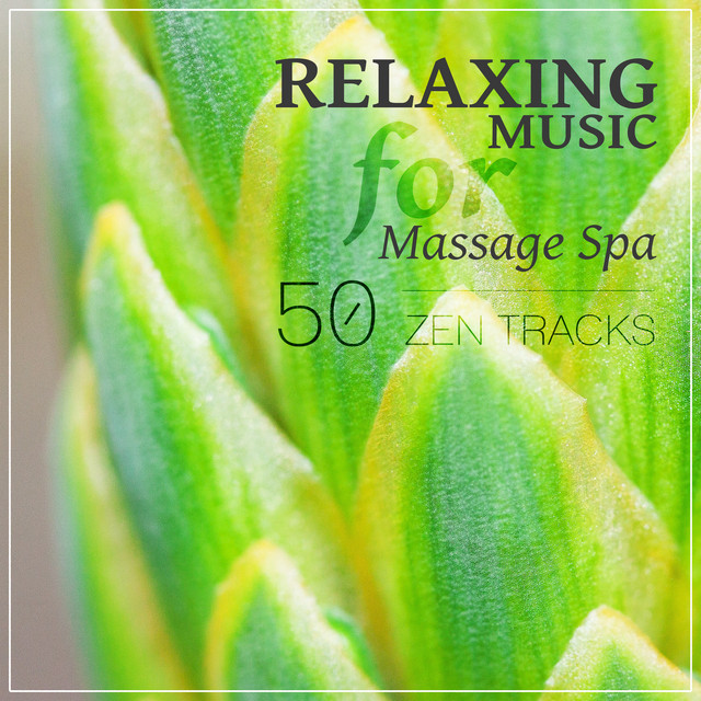 Calm Music Zone / Relaxing Zen Music Ensemble