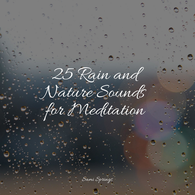 25 Rain and Nature Sounds for Meditation - Album by Soothing Baby Music ...