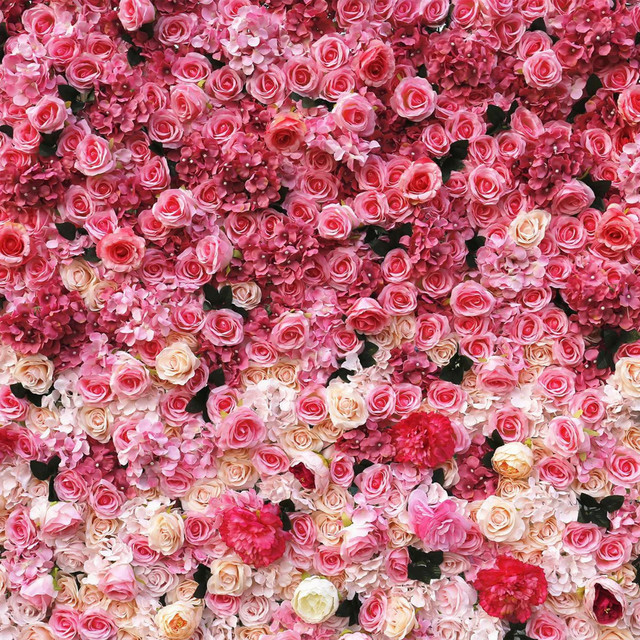 Generous cover art