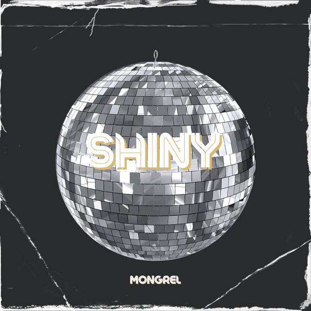 Shiny cover