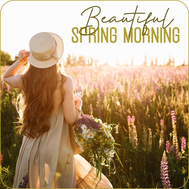 Beautiful Spring Morning: Spring Awakening, Meadow Melody, Restful ...