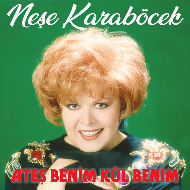 Ateş Benim Kül Benim cover art