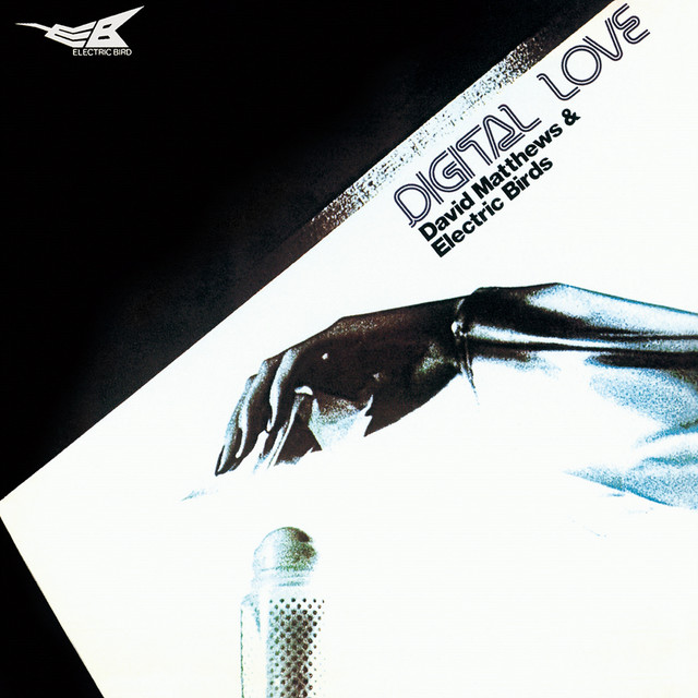 Electric Birds Photo