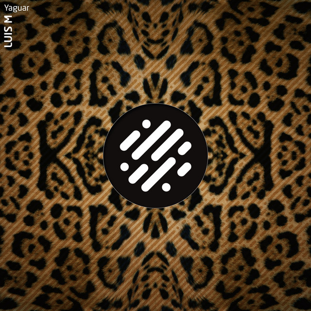In the Vortex - Luis M Remix cover art