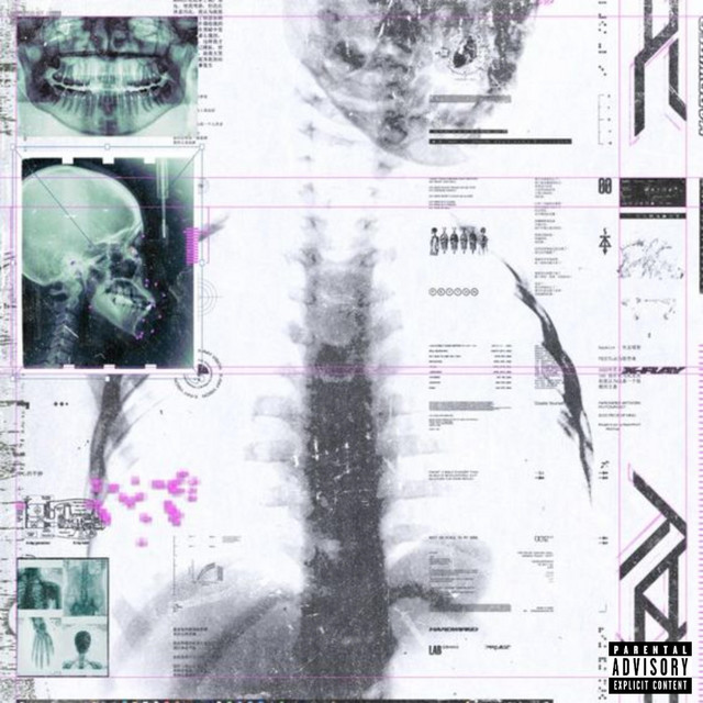 EViLVAMPiRE cover art