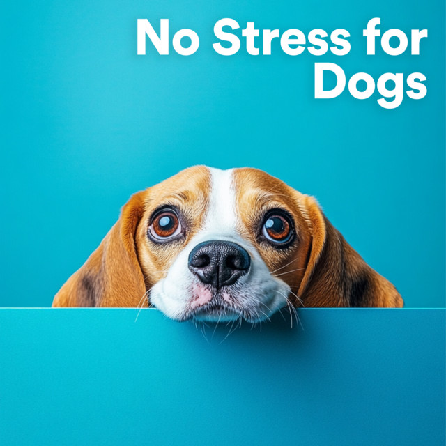 No Stress for Dogs cover art