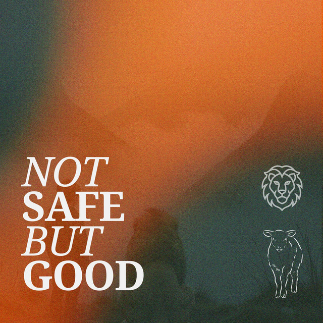 Not Safe But Good