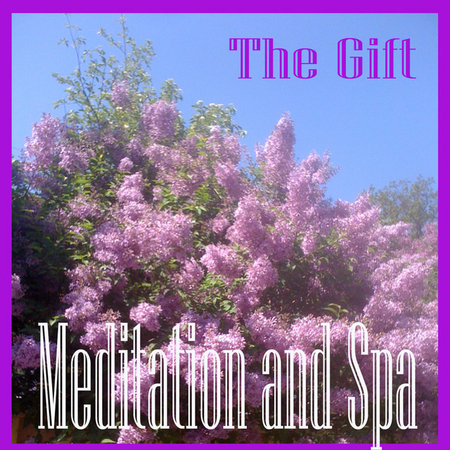 Meditation and Spa cover art