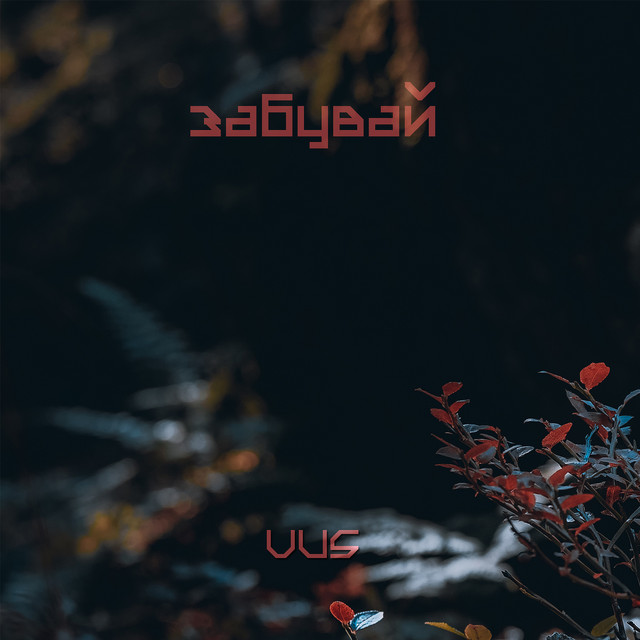 Cover art: Забувай — VUS