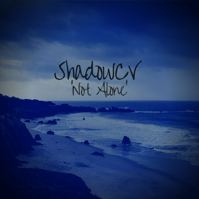 Not Alone cover art