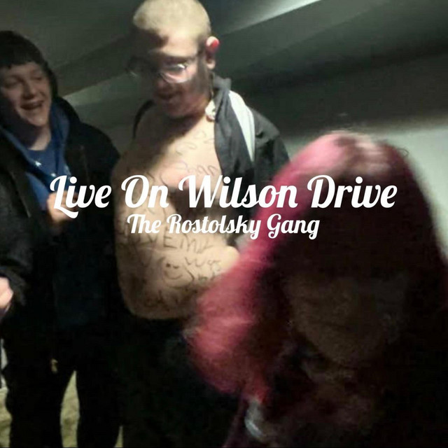 Live On Wilson Drive 2/7/26 cover art