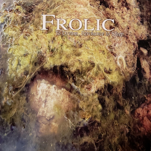To Dream, Perchance to Sleep cover art