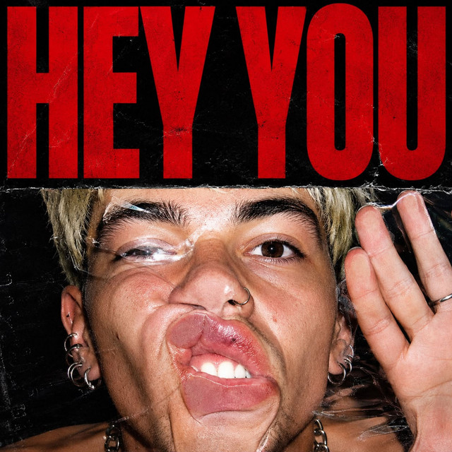 HEY YOU cover