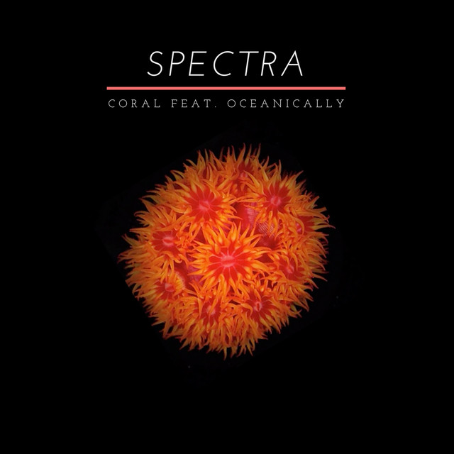 Coral cover