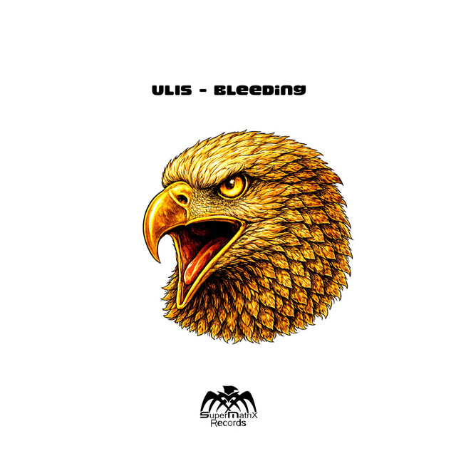Bleending cover