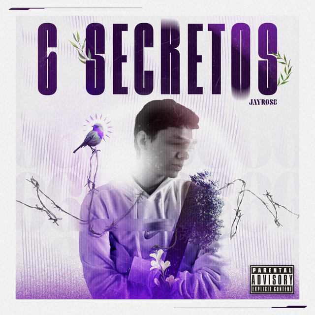 6 SECRETOS cover art