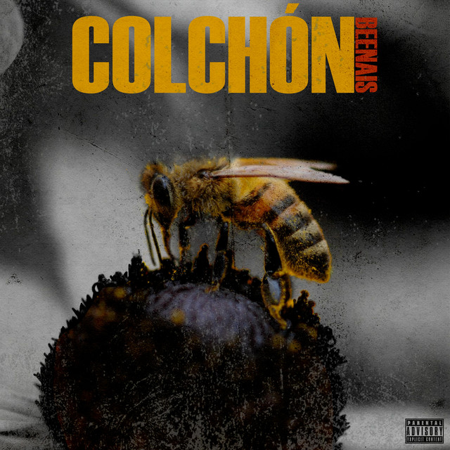 Colchón