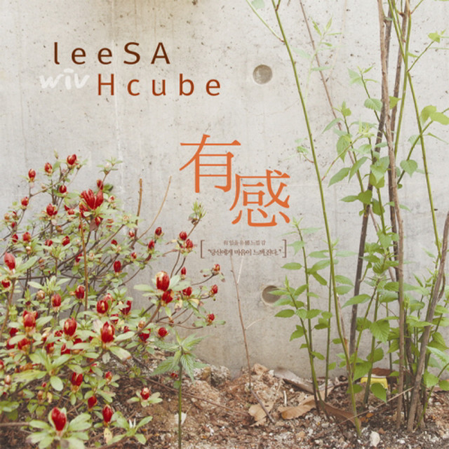 leeSA Wiv Hcube cover art