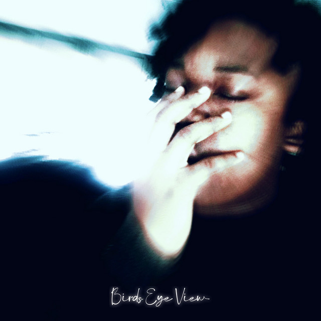 Birds Eye View cover art