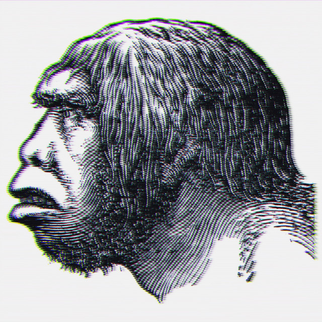 Homo sapiens