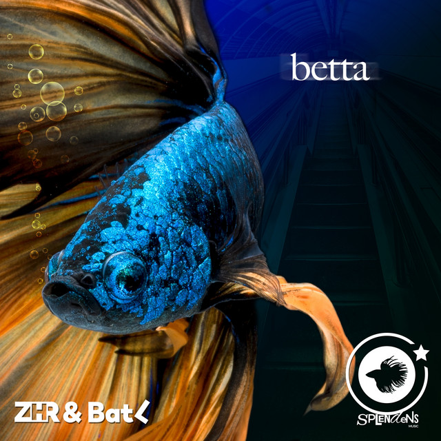 Betta - Single by BatL | Spotify