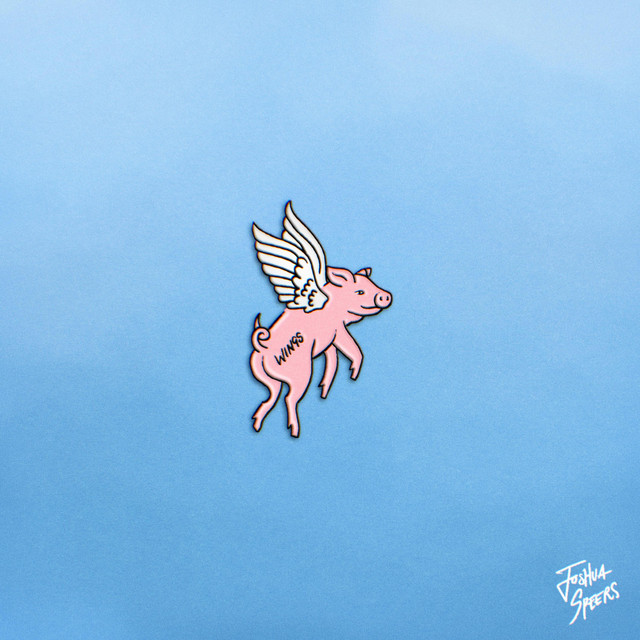 Wings cover