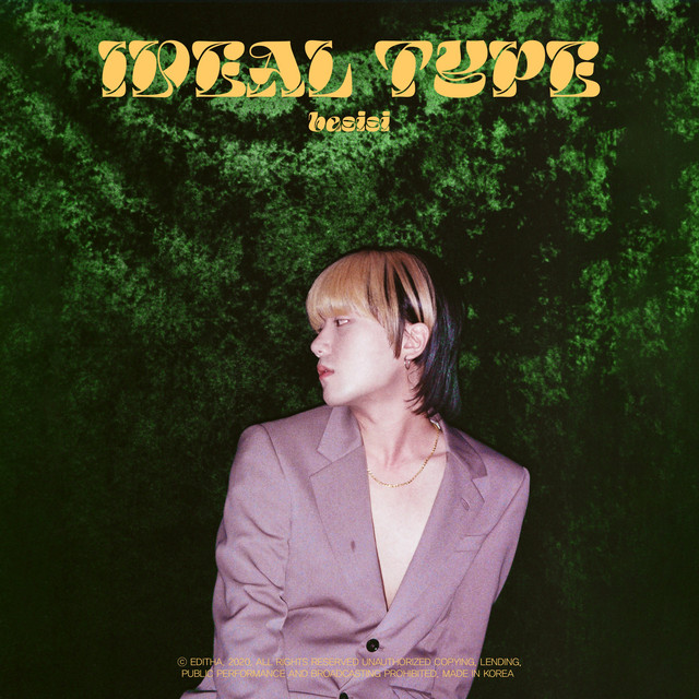 IDEAL TYPE cover art