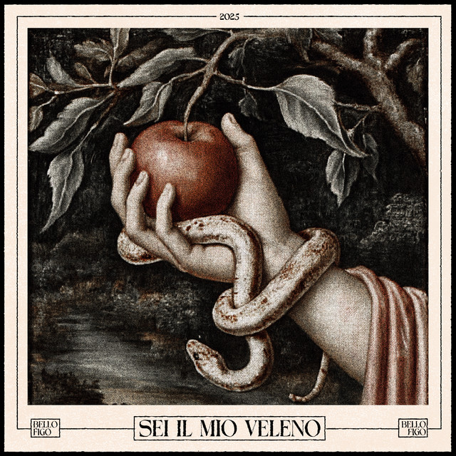 SEI IL MIO VELENO cover art
