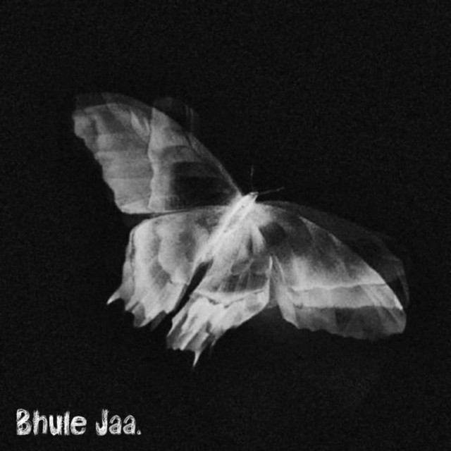 Bhule Jaa cover art