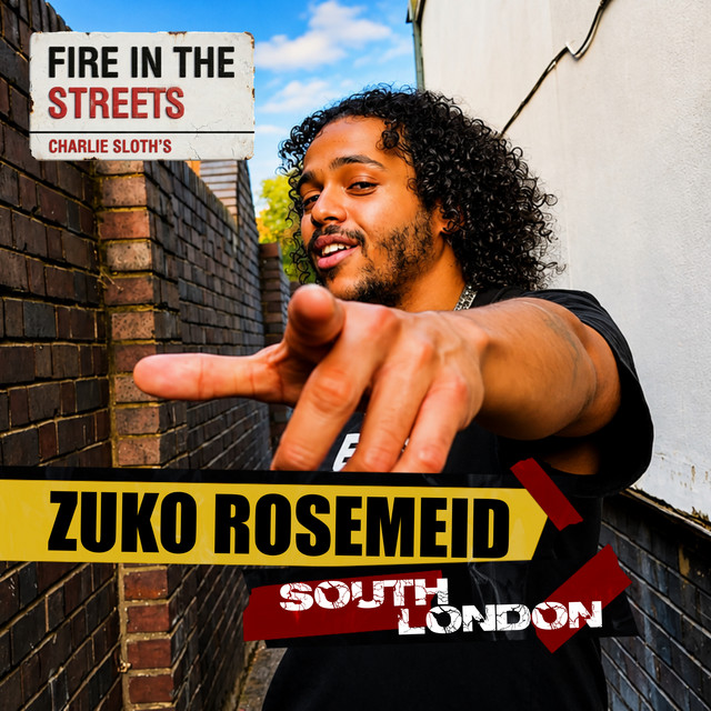Fire in the Streets - Zuko Rosemeid album image