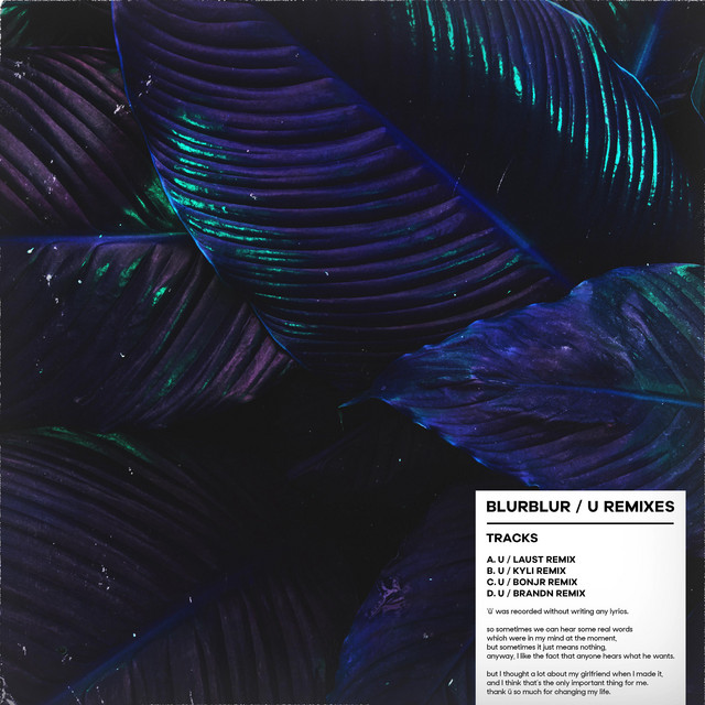 ü (Remixes)