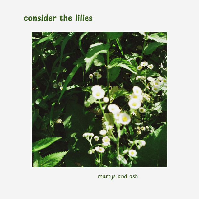 consider the lilies