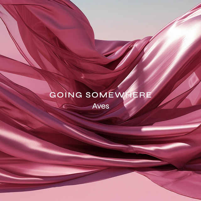 Going Somewhere cover art